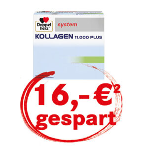 06.-11.07. Kennenlernangebot